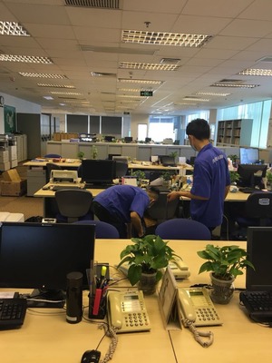 別墅滅鼠、滅蟑、滅蠅技術咨詢指南